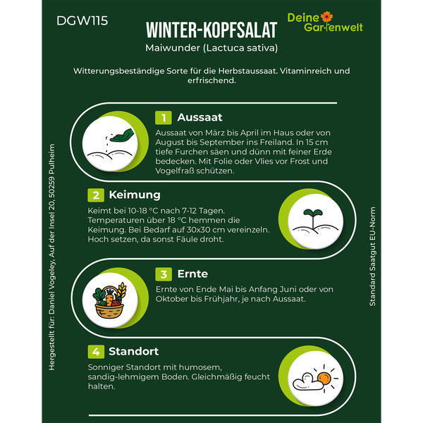 Infografik von Deine Gartenwelt für Winter-Kopfsalat Maiwunder mit Informationen zu Aussaat, Keimung, Ernte und Standort.