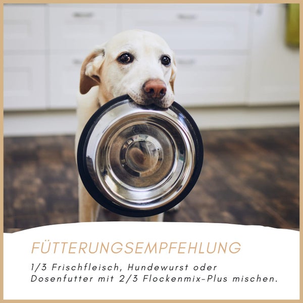 Ein Hund hält eine leere Futterschüssel im Maul.