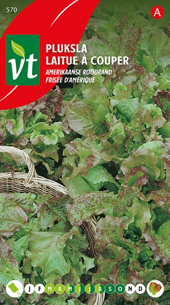 Pflücksalat Samenpackung