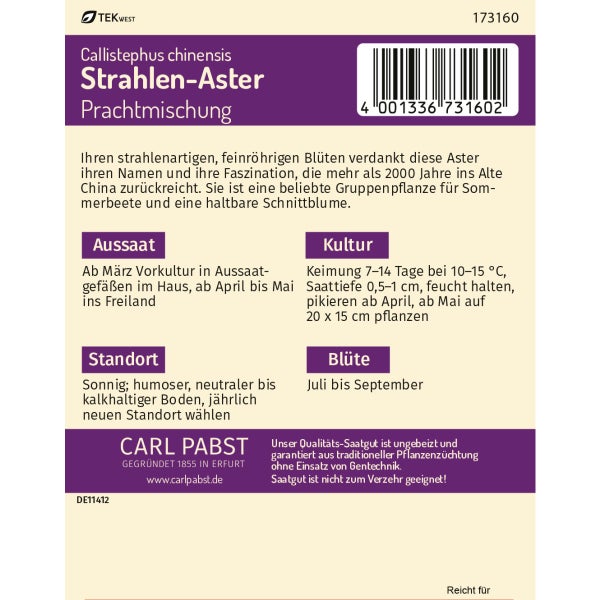 Strahlen - Aster Prachtmischung Samen von Pabst Keimkraft