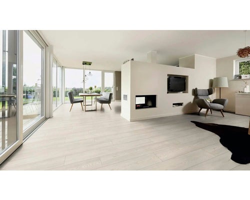 Heller Wohnraum mit Laminatboden, Esstisch, Stühlen und Fernseher