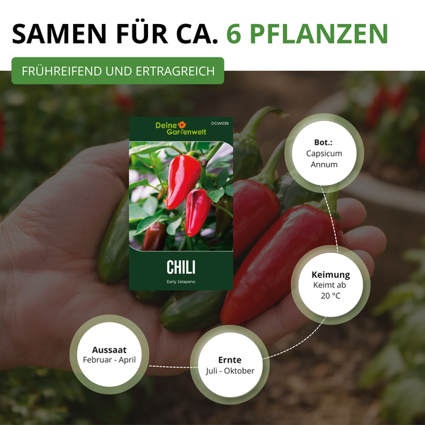 Samen für Chili Early Jalapeno, circa 6 Pflanzen, frühreifend, Aussaat Februar bis April, Ernte Juli bis Oktober, Keimung ab 20 Grad Celsius.