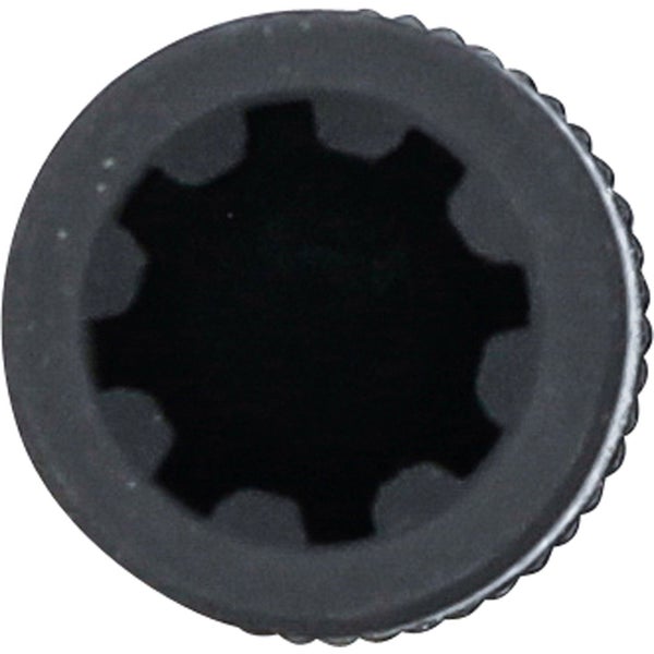 Steinbohrer mit SDS-Plus Aufnahme