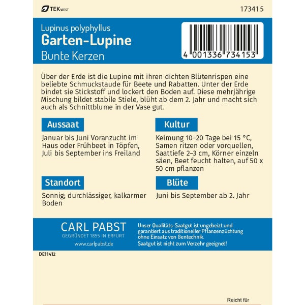 Lupine Bunte Kerzen Samen von Pabst Keimkraft