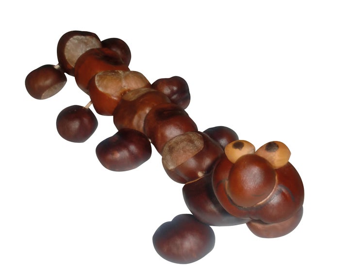 Bastelfigur aus Kastanien in Form eines Tausendfüßlers