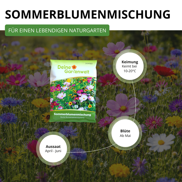 Samentüte Sommerblumenmischung für Naturgärten. Informationen zur Aussaat April bis Juni, Blüte ab Mai und Keimung bei 10 bis 20 Grad Celsius.
