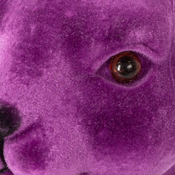 Nahaufnahme einer violetten, beflockten Oberfläche mit einem glänzenden Kunststoffauge.