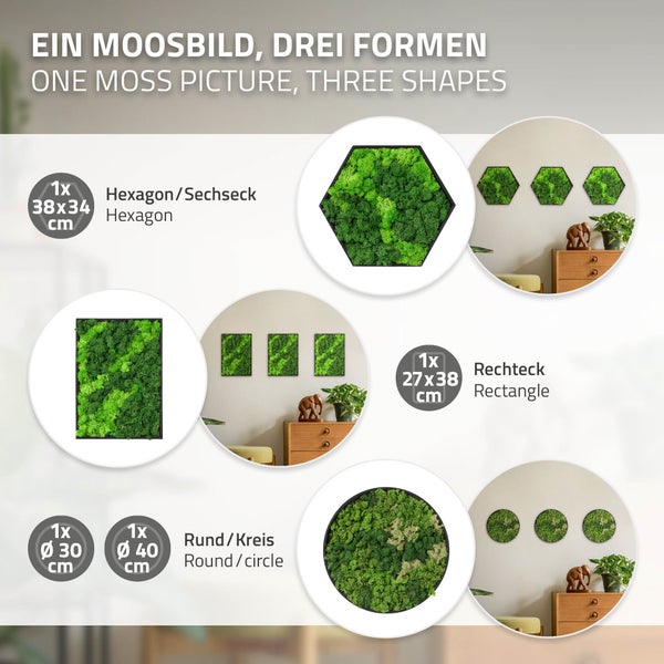 Wandbild aus konserviertem Moos in drei Formen: Hexagon 38 mal 34 Zentimeter, Rechteck 27 mal 38 Zentimeter und Kreis mit 30 oder 40 Zentimetern.