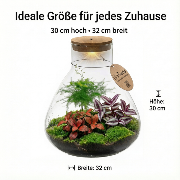 EcoWorld Pflanzenterrarium im Glasgefäß mit Korkdeckel und Beleuchtung, Höhe 30 Zentimeter, Breite 32 Zentimeter. EcoWorld Logo.