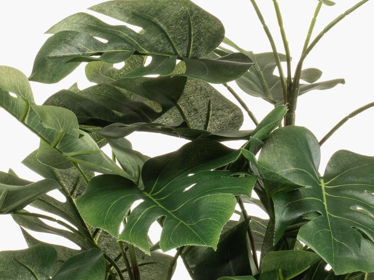 Nahaufnahme der grünen Blätter einer künstlichen Monstera deliciosa Pflanze.
