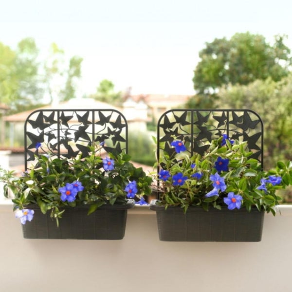 2x Balkonkasten mit Spalier für Kletterpflanzen Blumenkasten Geländerkasten 60 Rattan Optik Balkon Geländer Kasten Halterung Wasserspeicher Anthrazit