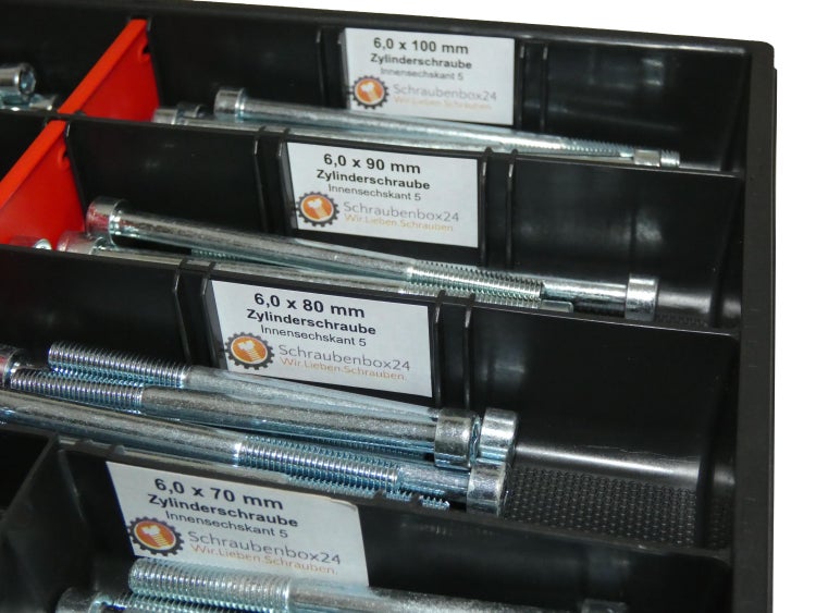 80 tlg Zylinderschrauben Sortiment M6 // 65mm-100mm Schrauben Set Schraubenbox DIN 912/ISO4762 Bolzen Vollgewindeschrauben Maschinenschrauben Gewindeschrauben Zylinderkopfschrauben