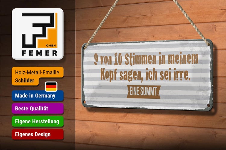 Blechschild Spruch 27x10 cm 9 von 10 Stimmen in meinem Kopf Dekoration