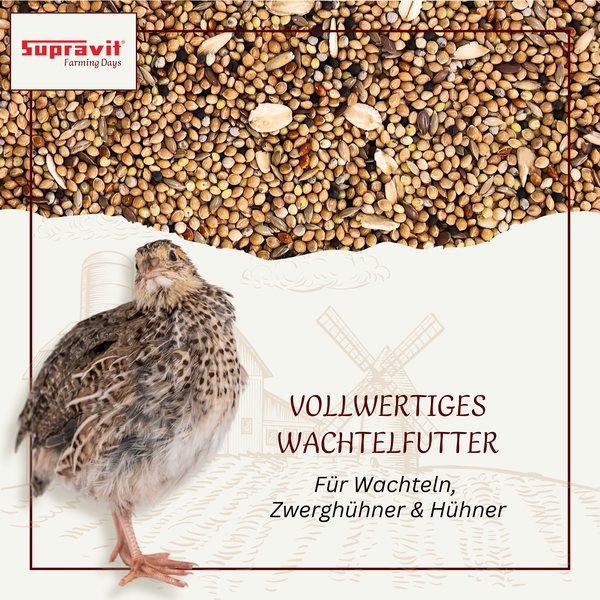 Vollwertiges Wachtelfutter für Wachteln, Zwerghühner und Hühner mit Supravit Farming Days Logo