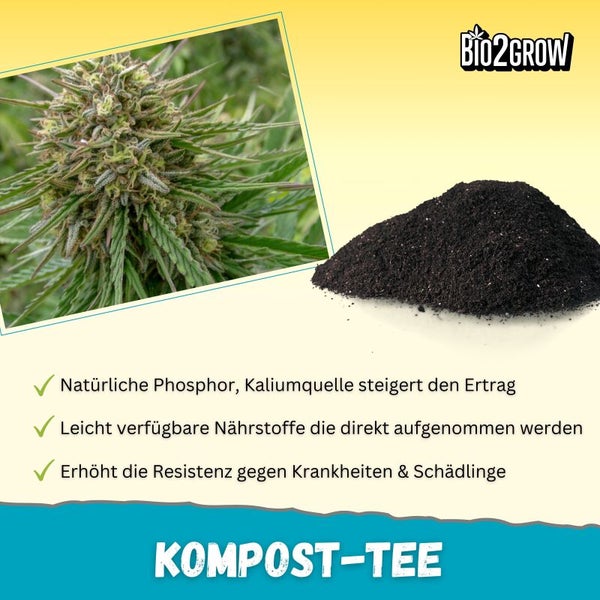 Komposttee mit Cannabis Pflanze und Komposthaufen