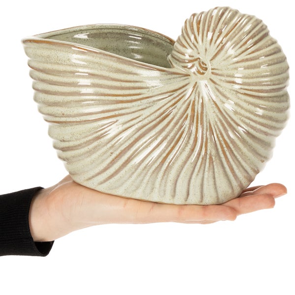 Dekorative Pflanzschale in Form einer Nautilusschnecke, gehalten in einer Hand