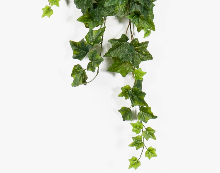 Zwei künstliche Ficus-Bonsai-Bäume in unterschiedlichen Größen in schwarzen Töpfen.