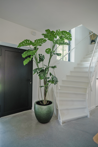 Künstliche Pflanze Monstera 210 cm