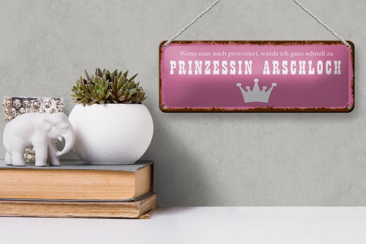 Blechschild Spruch 27x10cm ich zu Prinzessin Arschloch Dekoration