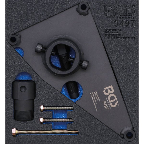 Blühende Veronica Pflanzen im Garten