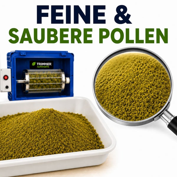 Automatischer Trimmer zur Pollengewinnung mit feinen, sauberen Pollen in einer weißen Schale unter einer Lupe.