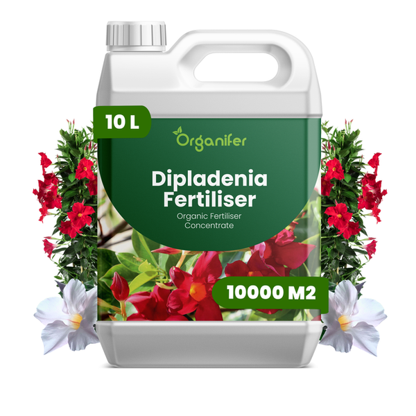 Organifer Dipladenia Dünger, organisches Düngerkonzentrat, 10 Liter für 10000 Quadratmeter, Kunststoffkanister.
