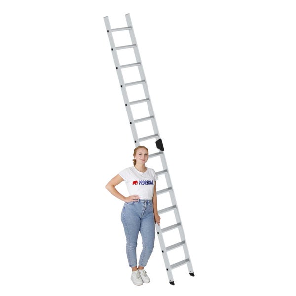 PROREGAL Stufen-Anlegeleiter Ohne Traverse 14 Stufen