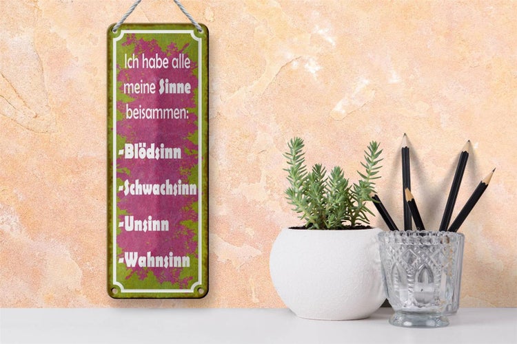 Blechschild Spruch 10x27cm habe alle meine Sinne beisammen Dekoration