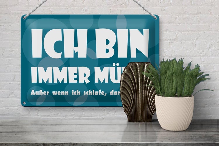 Blechschild Spruch 30x20cm Ich bin immer müde