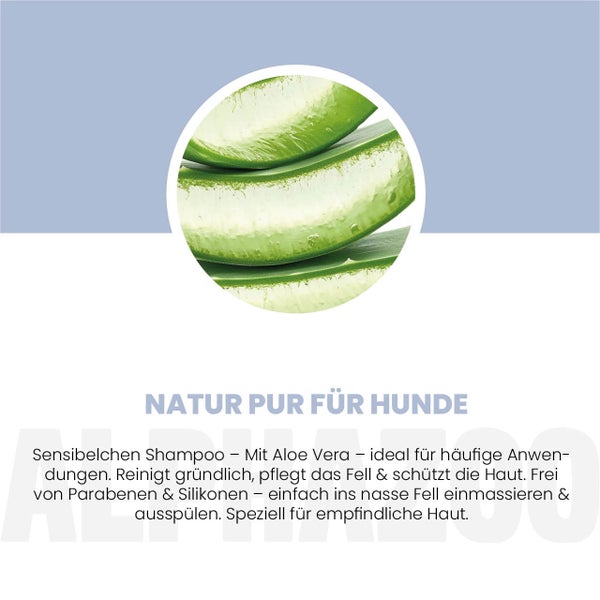 Aloe Vera für Hundeshampoo