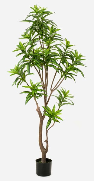 Künstliche Dracaena Pflanze im schwarzen Topf mit mehrstämmigem Stamm und grün gestreiften Blättern.