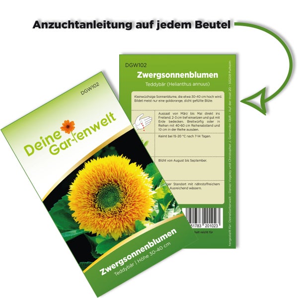 Vorder- und Rückseite einer Samentüte für Zwergsonnenblumen Teddybär der Marke Deine Gartenwelt mit Anzuchtanleitung auf der Rückseite.