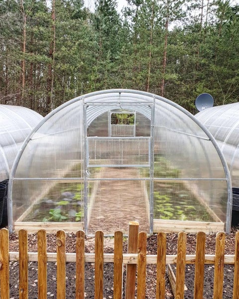 Gut organisiertes Gewächshaus in Tunnelform mit Metallrahmen und lichtdurchlässigen Platten sowie einem Mittelgang, hinter einem Holzzaun im Garten.