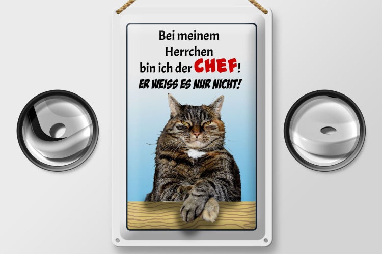 Blechschild Spruch 20x30cm Katze bei meinem Herrchen Chef