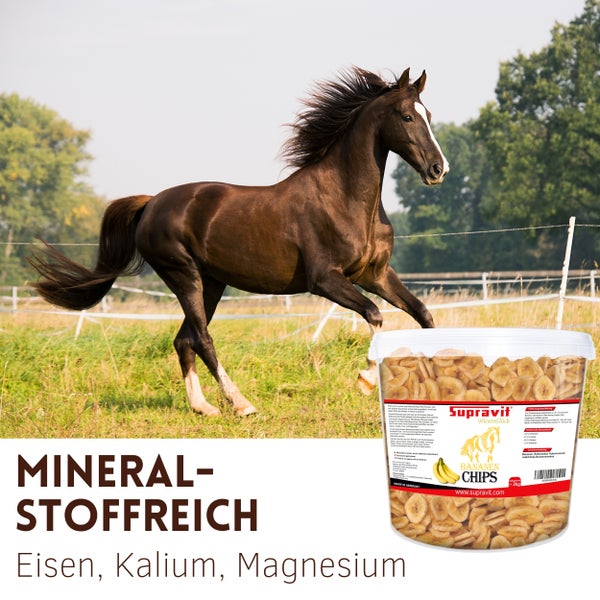 Supravit Bananenchips für Pferde in einer Verpackung vor einem laufenden Pferd auf einer Wiese