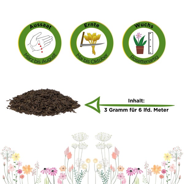 Schnittsalat Verde ricciolina da taglio Samen von Deine Gartenwelt
