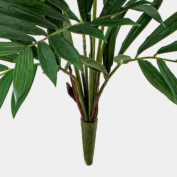 Lorbeerbaum (Laurus nobilis) als Hochstamm in Kugelform im Kunststofftopf.