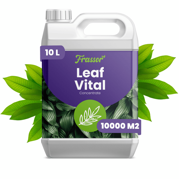 Frassor Leaf Vital Blattduenger Konzentrat in 10 Liter Kanister fuer 10000 Quadratmeter Pflanzenpflege