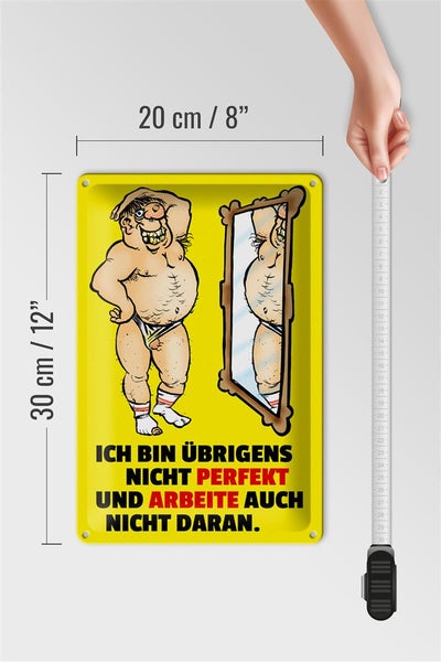 Blechschild Spruch 20x30cm Ich bin übrigens nicht perfekt