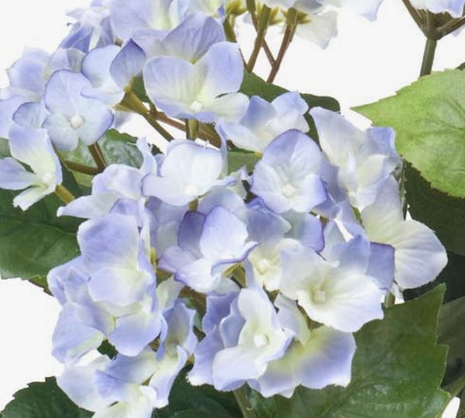 Kleiner schwarzer Kunststoff-Blumentopf mit grünem Blatt einer Kunstpflanze