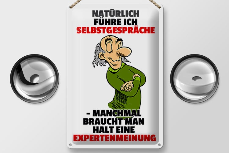 Blechschild Spruch 20x30cm Selbstgespräche Expertenmeinung
