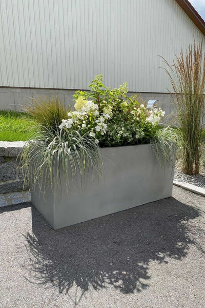 Rechteckiger Pflanzkübel in Betonoptik, bepflanzt mit weißen Blumen und Ziergräsern im Außenbereich.