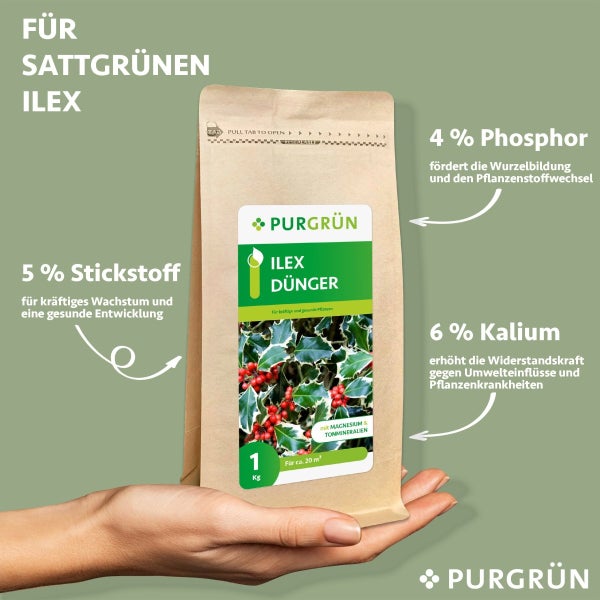 Purgrün Ilex-Dünger 1 kg