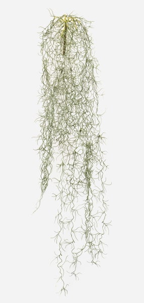 Künstliche Hängepflanze aus Kunststoff in Grüngrau, detailgetreue Nachbildung von Spanischem Moos für die Innendekoration.