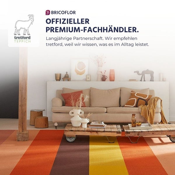 Bricoflor Logo und Tretford Teppich Logo über einem Wohnzimmer mit gestreiftem Tretford Teppich, Sofa und Couchtisch aus Holzpaletten.