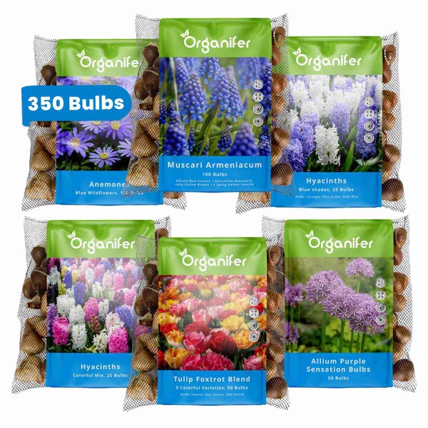 Blumenzwiebeln-Mischung, 350 Stück, verschiedene Sorten