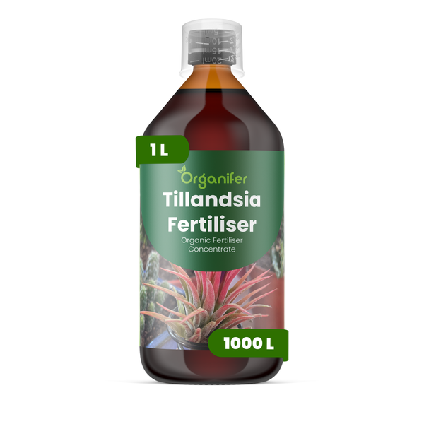 Flüssigdünger Für Tillandsien 1L – 2-1-8 NPK – Flüssig-Pflanzendünger Für Tillandsien – Organifer