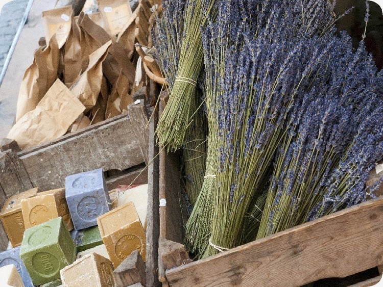 SAFLAX  - Echter Lavendel - Lavandula angustifolia - 150 Samen