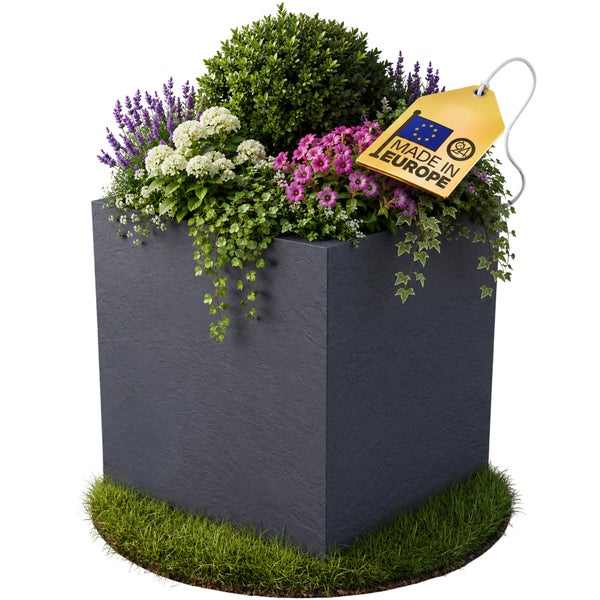 Quadratischer Pflanzkübel in Anthrazit mit Buchsbaum, Lavendel und bunten Blüten, Hergestellt in Europa.