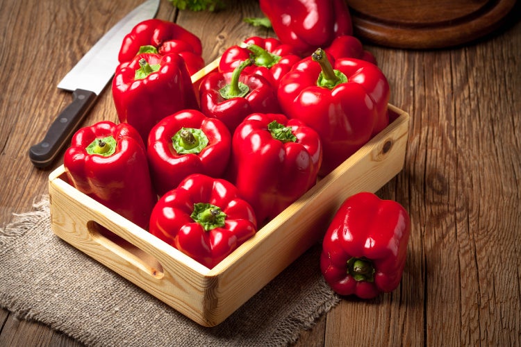 SAFLAX Garden to go - BIO - Paprika - California Wonder - Rot - Capsicum annuum - 20 Samen - Mit Topf, Klima - Deckel und Anzuchtsubstrat